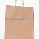 ZZbp35 paper kraft bag for fruit packaging with paper handle ZZbp35