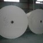 PE coated paper in roll