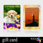 plastic gift cards