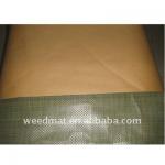 pe coated kraft paper