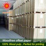 100% wood pulp coated wood free offset printing paper in reel OP--00017