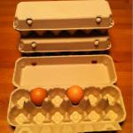 12 holes egg box 12-egg