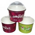 12oz frozen cold ice cream cups 12oz