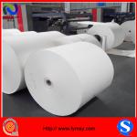 150 gsm ~ 350 gsm PE lamination cup stock paper paper rpll