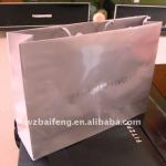 2012 eco-friendly shopping paper gift bag PB220