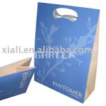 2012 fashion glossy paper bag shopping bag sl-5002