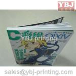 2013 cheap book printing brochure-8007