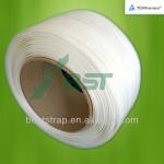 2013 China BST 19mm composite cord strapping mental strapping BT-VSL-60