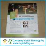 2013 colorful poster CAT-034