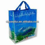 2013 Fashion design plastic packing bag yaqi295