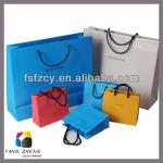 2013 Luxury Paper Bag with Custom Logo &amp; Design FZ-B&amp;L