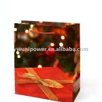 2013 Xmas paper bag C039