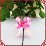 2014 Fashionable Pull Flower Ribbon STPPBOW-BUTTERFLY