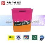 2014 professional custom cheap shopping gift paper bag SG-B65989