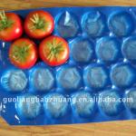 39x59cm PP Fruit Plastic Tray 39*49/29*39/39*59cm etc