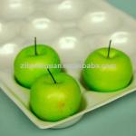 49*30cm PS (polystyrene) fruit packing tray xg002f