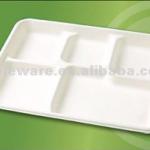 5-Compartment Tray T009