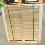 750g laminated duplex board with grey back grey board in sheet/roll