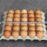 AA Size Cheap Egg Tray with Holes AA Size