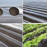 Agriculture Mulch film