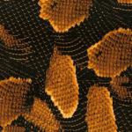 Animal Skin Patternwater transfer printing film&amp;Water Transfer Printing Hydro Graphics Film - Boa Snakeskin GM1208