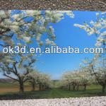 Best Maunfacture Wholesales High Quality lenticular 3D pictures made in China 215543