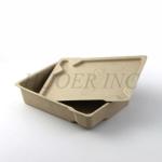 Biodegradable Paper Pulp Packaging OEM