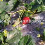 Black Mulch Film for Strawberry HY-1098