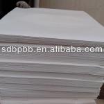 Bleached Bagasse Pulp