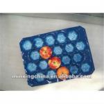 blister disposable packaging tray 201280115,Customization