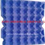 blue paper pulp egg tray paper egg tray-A2