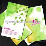 business cards, plastic business cards, fashion business cards BC-8056