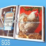 Catalog printing in Zhejiang printing house