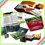 Cheap high quality various promotion cheap color printing brochure XZY8157-S