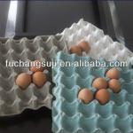 Chicken Eggs Packing Tray FC-ZMG6-48