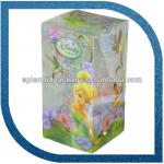 CHINA professional manufacture plastic pvc box SP--002