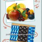 China Suplier/SGS/Corlorful/Compartment Disposable Plastic Food Tray 29x49cm, 39x59cm, 37x57cm