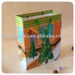 Christmas Paper Gift Bag (WF-17039) WF-17039