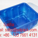 clamshell fruit packaging PET fruit clamshell box plastic fruit box sd,fruit clamshell box