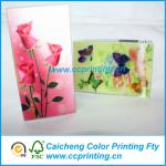 Clear acetate folding printed PET packaging box CO-01