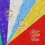 Colorful Hologram paper wmc-02