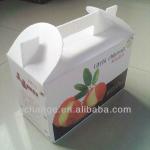 Corrugated Plastic Boxes, Corrugated Polypropylene Box VC001