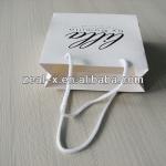 cost production paper bag manufacturers h03845