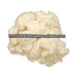 COTTON PAPER PULP