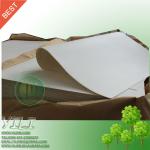 Cup stock base paper YILIPE