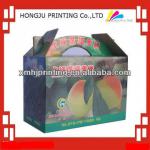 Custom design 3-5 layers color corrugated box HJ009