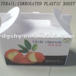 custom eco-friendly fresh fruit corrugated box packaging,coroplast folding box fruit box