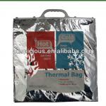 Custom logo printed thermal food storage bag foil carry bag ASP5261