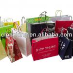 Custom Made High Quality disposable paper bag Your style