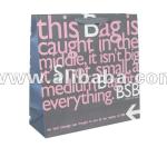 Custom PP Ribbon Handle Boutique Shopping Paper Bags Paper bags